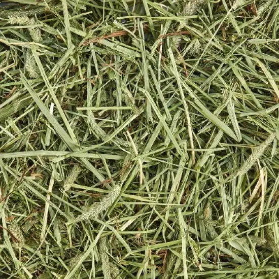 Kaytee Unflavored Timothy Hay Rat, Guinea Pig, Hedgehog, Rabbit, Chinchilla, Hamster, Gerbil, Ferret and Mouse Pet Treats - 24oz image {4}