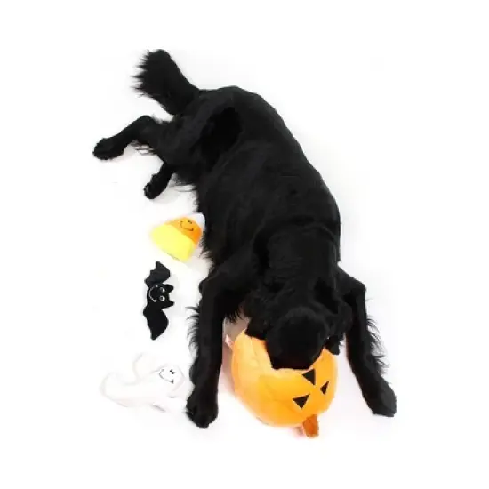 Midlee Pumpkin Find a Toy Halloween Dog Toy image {2}