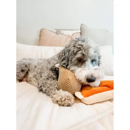 Midlee Thanksgiving Meal Dog Toy Set - Pumpkin Pie & Turkey Leg image {3}