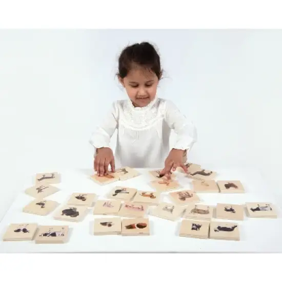 TickiT Domestic Animal Family Match, Set of 28 image {3}