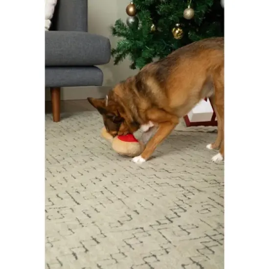 Midlee Santa Boot Sugar Cookie Dog Toy image {8}