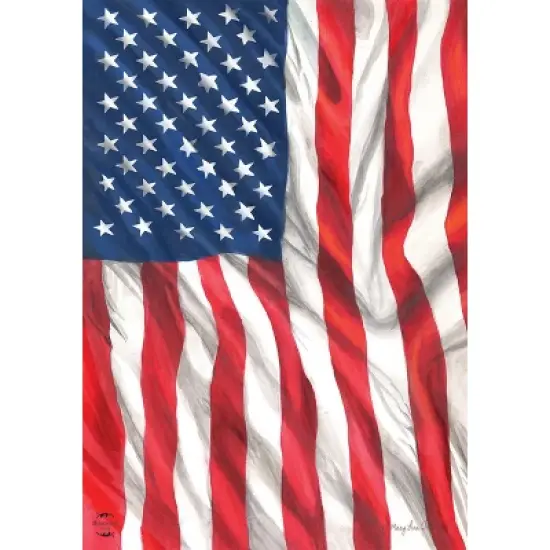 Briarwood Lane Everyday Garden Flag 12x18 For Outdoor American Flag Waving Garden Flag Flags For Outside image {4}