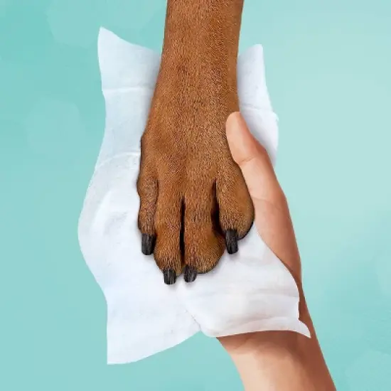 Pampers Multi-Use Baby Wipes (Select Count) image {6}