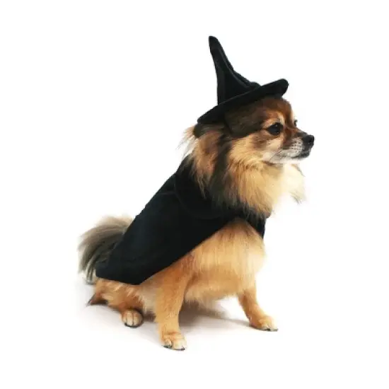 Midlee Halloween Witch Cape and Hat Dog Costume image {3}
