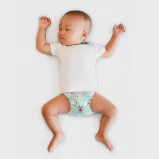 The Honest Company Clean Conscious Disposable Overnight Diapers - (Select Size and Pattern) image {3}