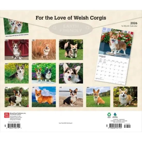 BrownTrout For the Love of Welsh Corgis 2026 14"x24" Hanging Deluxe Wall Calendar Plastic-Free image {1}
