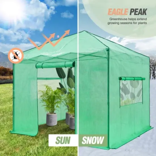 EAGLE PEAK 10'x10' Portable Walk-in Greenhouse with Zippered Doors and Windows, PE Cover image {5}
