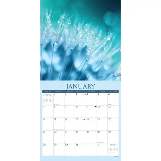 Willow Creek Press 2024 Wall Calendar 12"x12" Bliss Serenity in Nature image {2}
