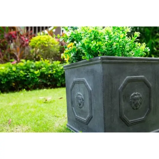 Kante Lightweight Classic Square English Style Lion Head Concrete Planter Antique Gray - Rosemead Home & Garden, Inc. image {9}