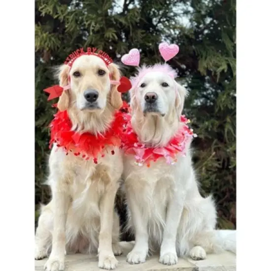 Midlee Valentine's Day Lips Decorative Dog Collar image {3}