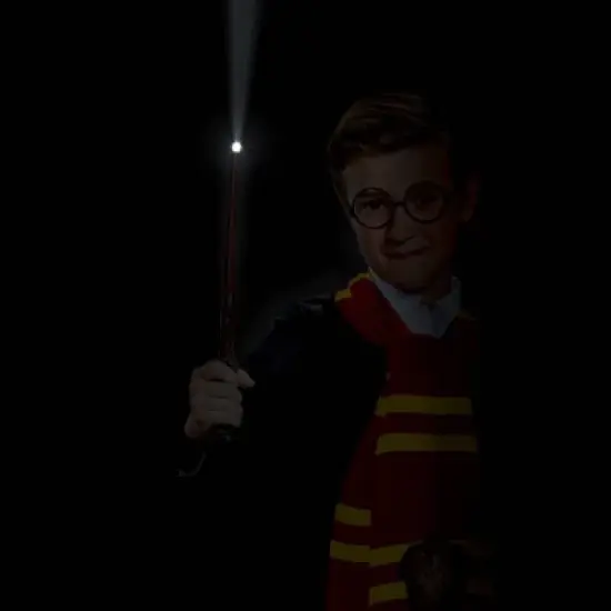 Warner Bros. Harry Potter Kids' Light Up Deluxe Wand Halloween Accessory image {2}