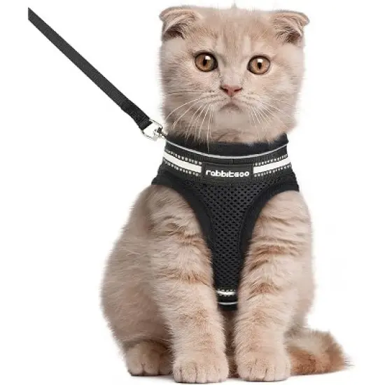 rabbitgoo Cat Harness and Leash image {1}