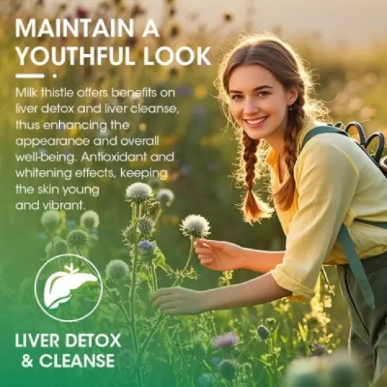 Alliwise Milk Thistle Capsules - Extra Strength 80% Silymarin Herbal Supplement - Liver Health & Antioxidants - 120 CT image {4}