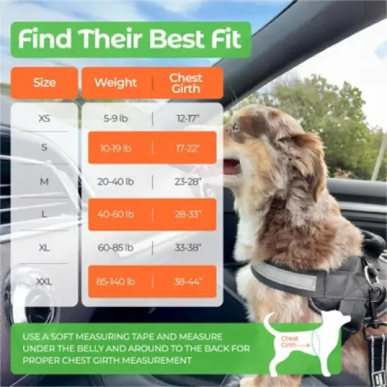 Joyride Harness Premium Advanced No Pull Dog Harness 2.0 image {3}