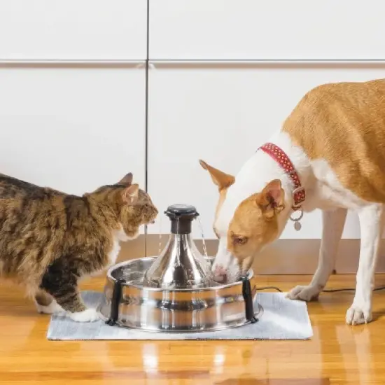 PetSafe Drinkwell Stainless Multi-Pet Fountain - Stainless Steel image {3}