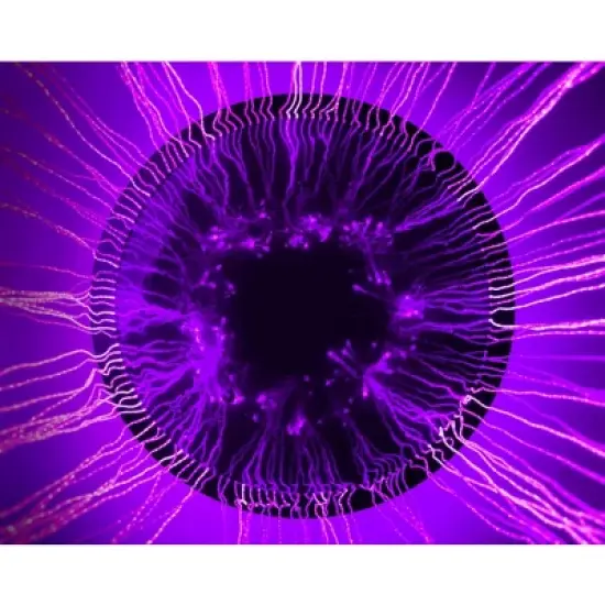 Round Fiber Optic Curtain - 100 Strands image {4}