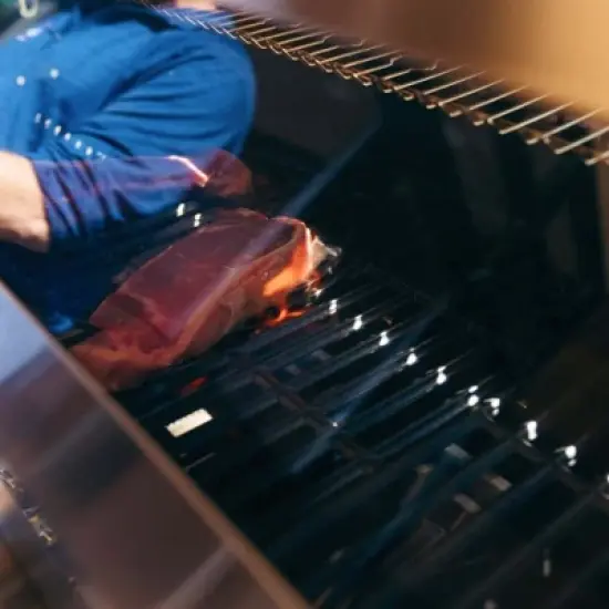 Monument Grills Denali Series 6 Burner Stainless Steel Smart Grill image {6}