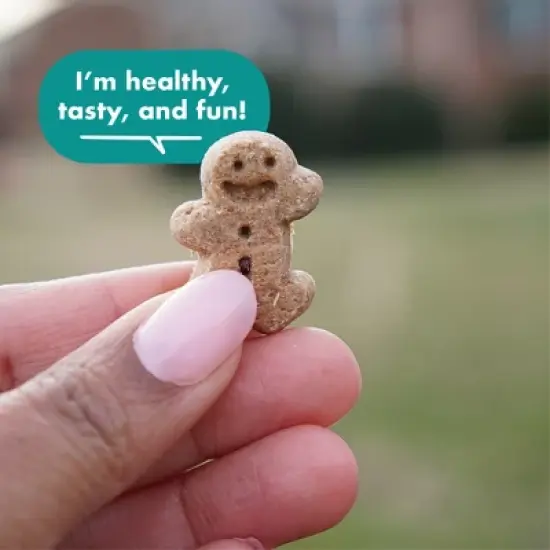 Buddy Biscuits Chicken Hip & Joint Chews Dog Treats - 5oz image {3}