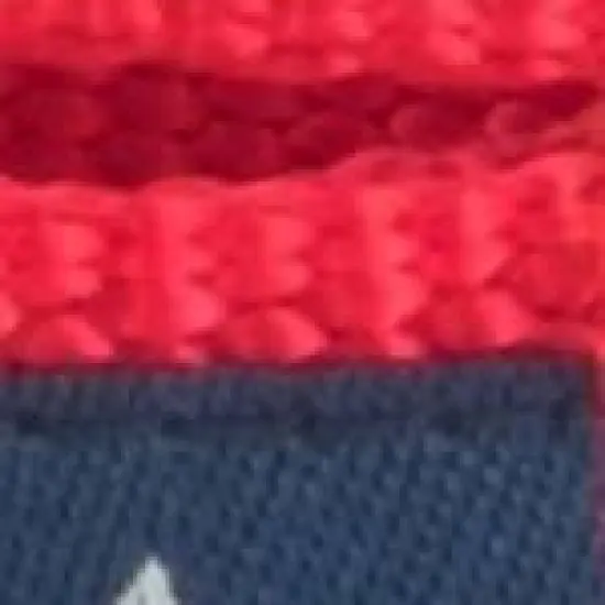 The Worthy Dog Jaws Dog Collar image {2}