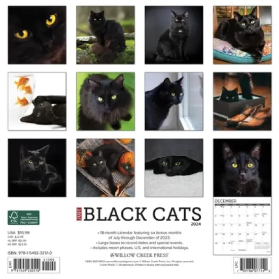 Willow Creek Press 2024 Wall Calendar 12"x12" Just Black Cats image {1}