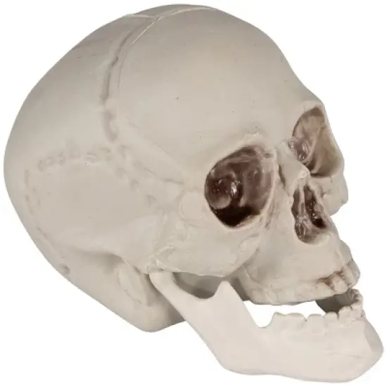 Northlight Skeleton Skulls Halloween Decorations - 4.5" - Set of 6 image {3}