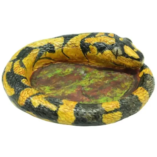 WILD! Environmental Science Extreme Snakes of the World image {5}