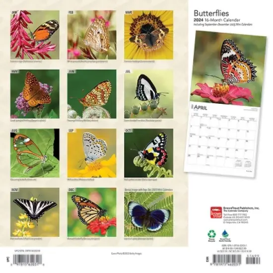 Browntrout 2024 Wall Calendar 12"x12" Butterflies image {1}