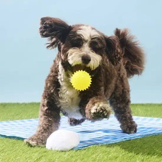 BARK Spring Picnic in the Bark Deviled Begg Dog Plush Toy - 2pc image {4}