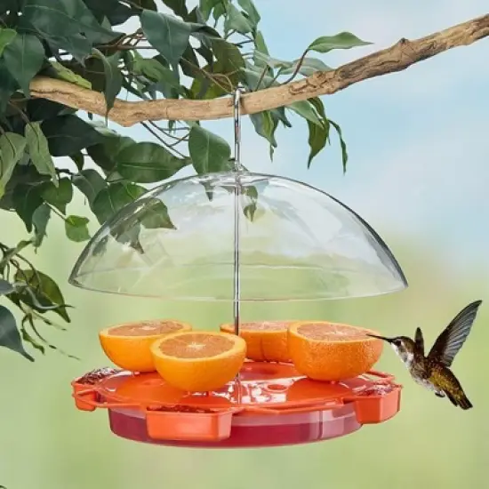 The Lakeside Collection Hummingbird Feeder For Food And Nectar With Clear Shield image {4}