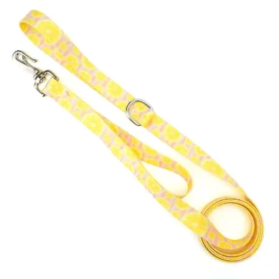 Country Brook Petz 6 Foot Dog Leash - Tasty Collection image {4}