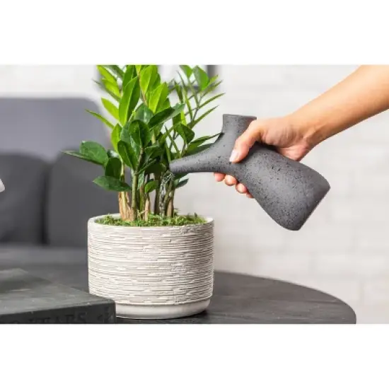 Hepworth Black Stoneware Watering Pitcher image {3}