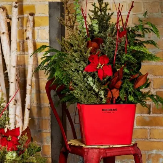 Behrens Rectangular Galvanized Steel Bucket Red image {4}