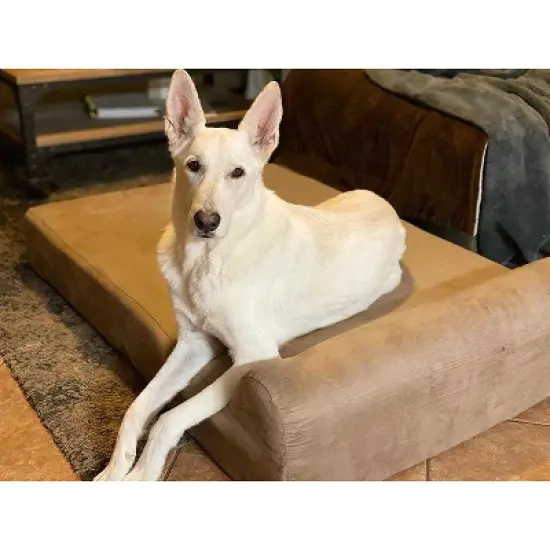 Big Barker 7" Orthopedic Dog Bed - Headrest Edition image {5}