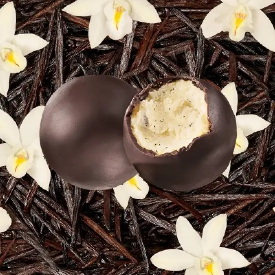 noosa Vanilla Cheesecake Bites - 4.4oz/6ct image {1}