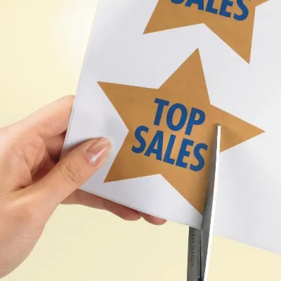 Avery Full-Sheet  Shipping Labels, 8.5" x 11", White, 100 Labels (5165) image {7}