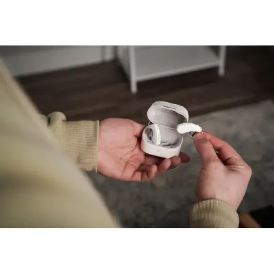 Zepp Omni Hearing Aids (Gray) image {1}