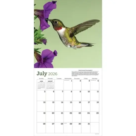 TF Publishing 13.5"x14.5" 2026 Backyard Birds Wall Calendar image {5}