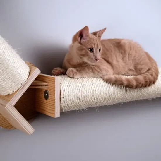 Armarkat Wall Series Wall Climbing Cat Post Bridge W2307 image {3}