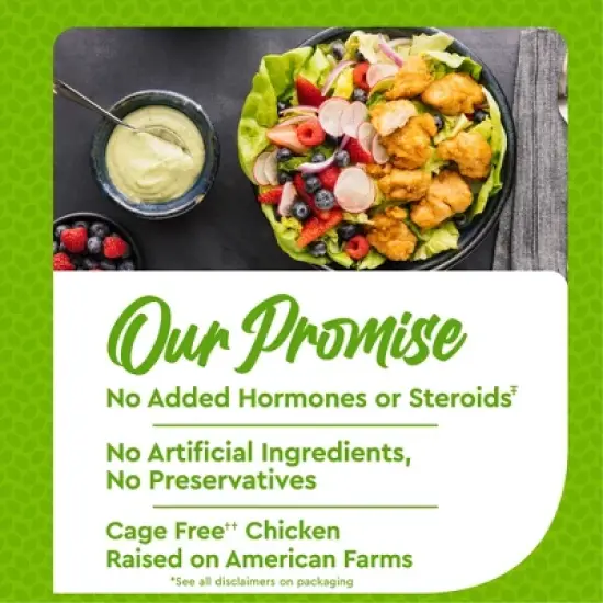 Just Bare Lightly Breaded Chicken Breast Bites - Frozen - 24oz image {5}