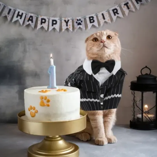 Unique Bargains Cat Apparel Black 1 Pc image {4}