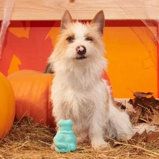 BARK Halloween Super Chewer Knock 'Em Dead Dog Toy image {3}