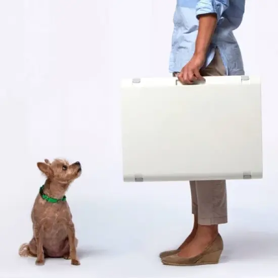 KindTail PAWD Cat and Dog Crate image {10}