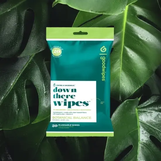 Goodwipes Botanical Balance Flushable Wipes - 20ct image {2}