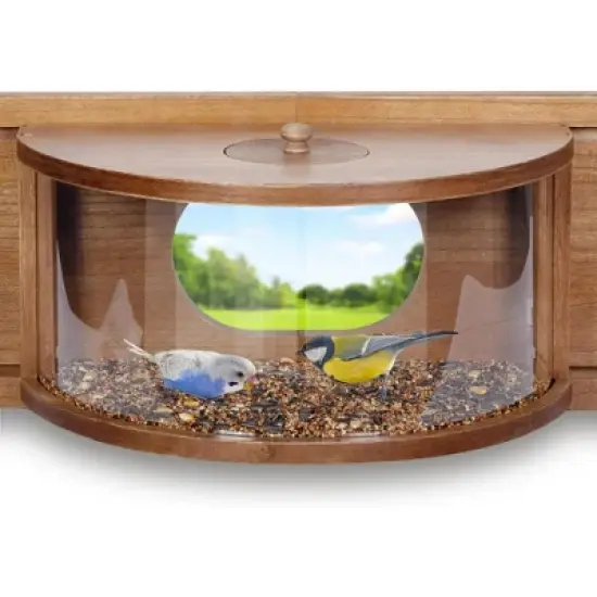 Snynuxx Window Bird Feeder Inside House with 180&deg; Clear View, Durable Wood and Safe Birder Feeder image {7}