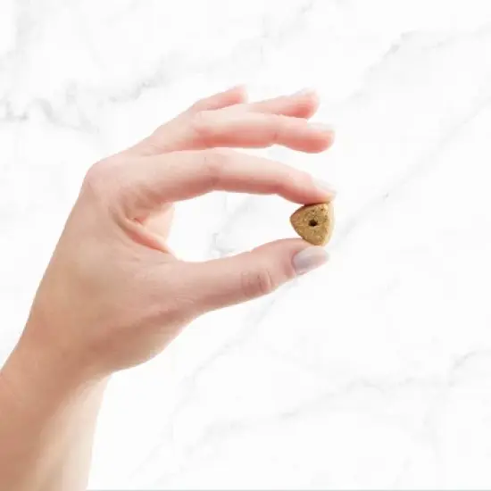 Nutro Mixed Berry Flavor Crunchy Dog Treats image {3}