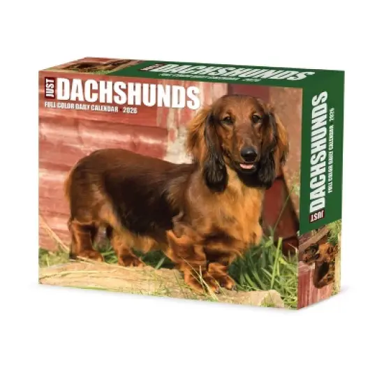 Willow Creek Press 2026 Dachshunds Box Calendar image {6}