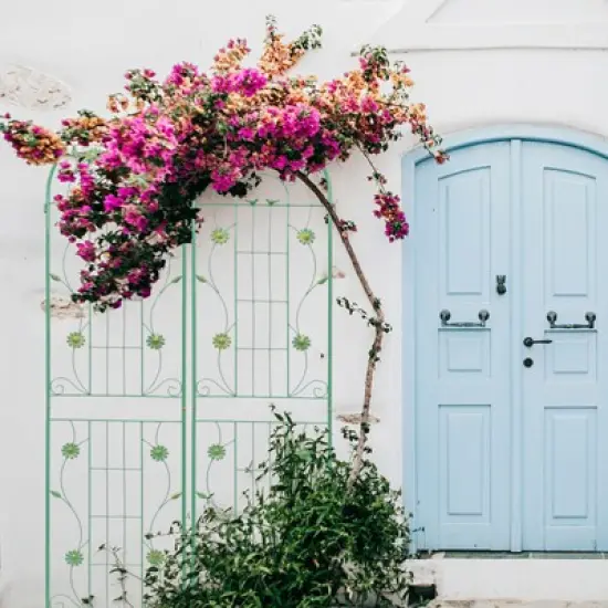 Syemin Patio Decorative Screens, Iron Arch Decoration Garden Trellis, for Outdoor for Climbing Plants Support, Flowerbed, Green, 40"*19.7"*86.7" image {1}