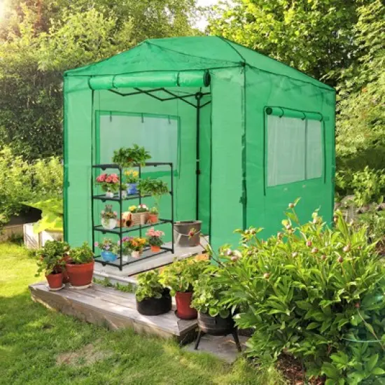 EAGLE PEAK 8'x6' Portable Walk-in Greenhouse with Zippered Doors and Windows image {6}
