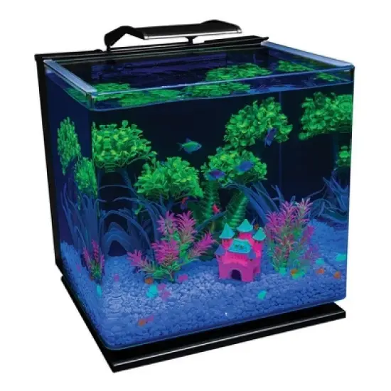 GloFish Glass Aquarium Kit 10gal Includes LED Decor and Filter Aquarium and Terrarium Tools image {3}
