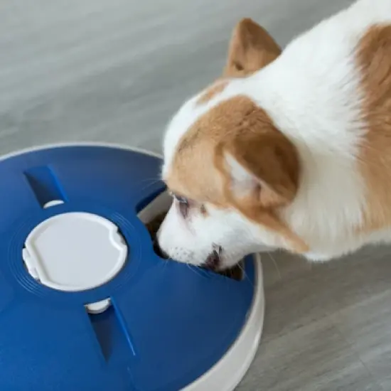 PawsMark 6-Meal Automatic Pet Feeder LCD Smart Programmable Time Setting Pet Dog Cat Food Compartment Dispenser image {8}